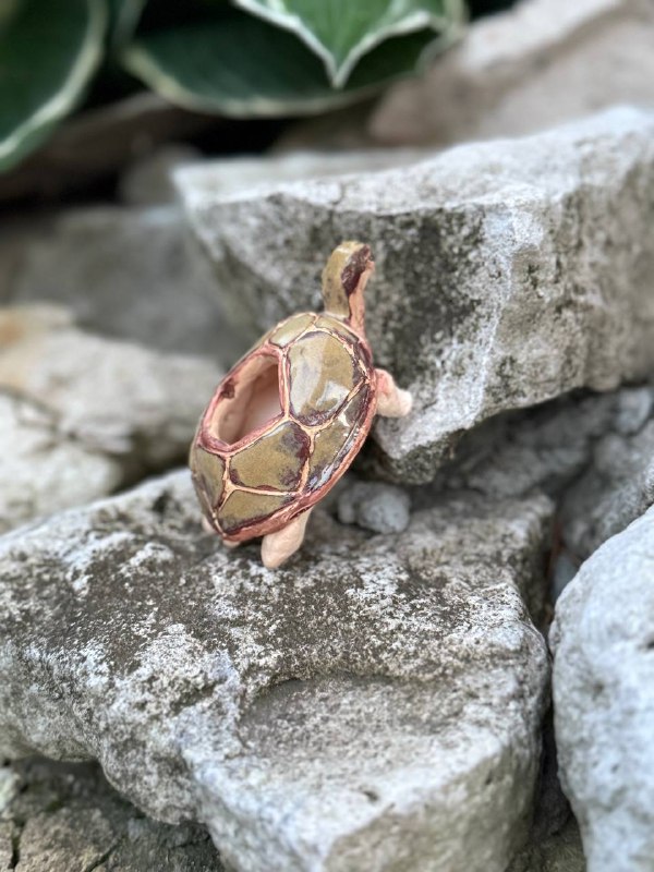 Черепашка «Voyager 2.0»