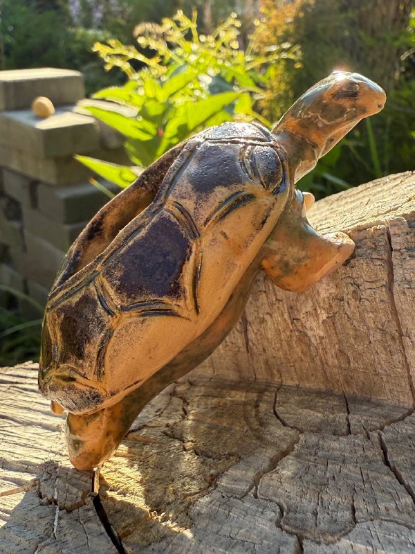 Черепашка «Voyager»