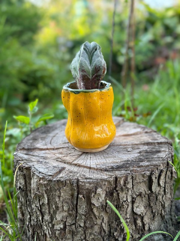 Горшок «Saffron»