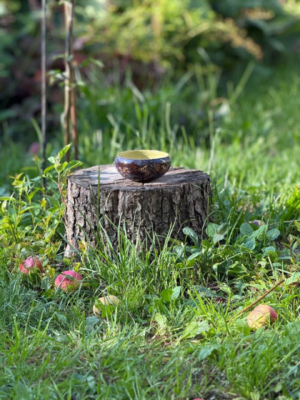 Мини боул «Elderberries»