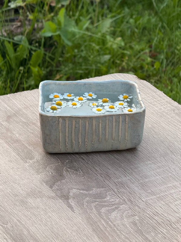 Миска для рамена «Daisy»