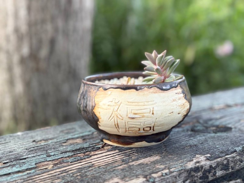 Пиала «Sepia»