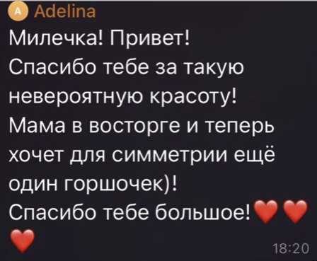 Отзыв клиента